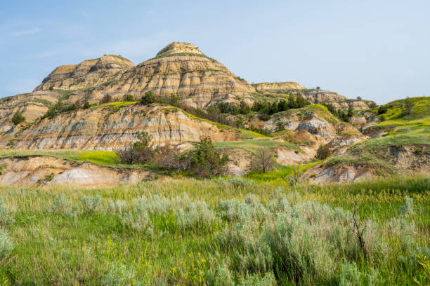 istock Summer scenery at Theodore Roosevelt National Park 2089680049