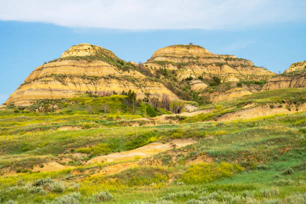 istock Summer scenery at Theodore Roosevelt National Park 2089681082