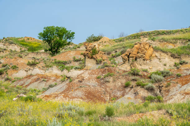 Summer scenery at Theodore Roosevelt National Park, North Dakota, USA