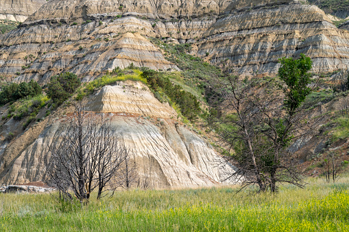 Summer scenery at Theodore Roosevelt National Park, North Dakota, USA