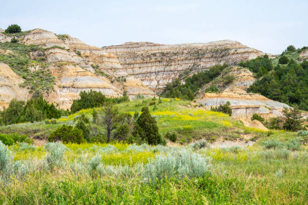 istock Summer scenery at Theodore Roosevelt National Park 2089681092