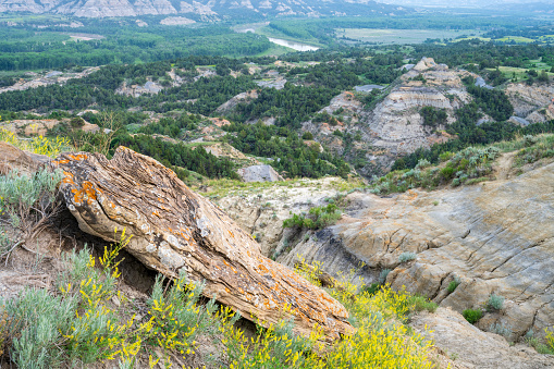 Krasnoyarsk Pillars Nature Reserve is one of the unique places in Russia