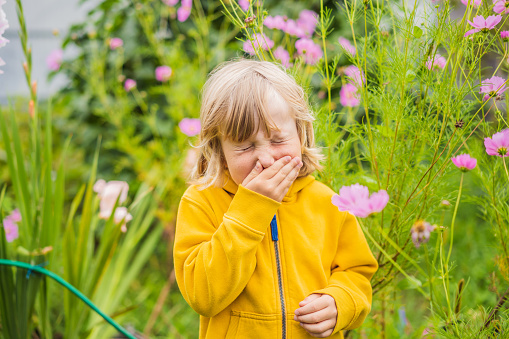 Little boy is blowing his nose on green meadow near flowers. Flower allergy concept.