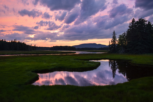 Landscape photography of a sunset with a dramatic purple sky reflecting in a pond in the Acadia National Park, Maine, USA