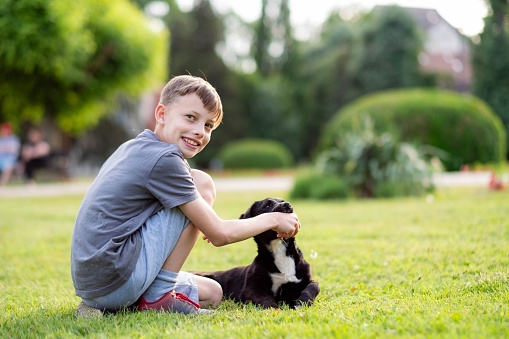 the boy is playing with the dog in the meadow, he is looking at the camera