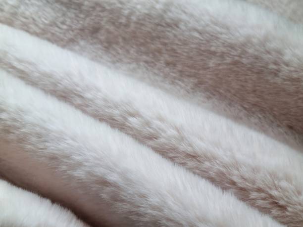 istock Soft folds of fur 2089949252
