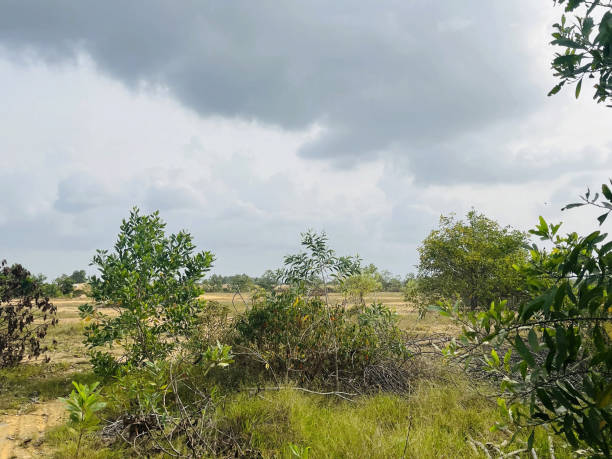 istock landscape view in country Thailand 2089949764