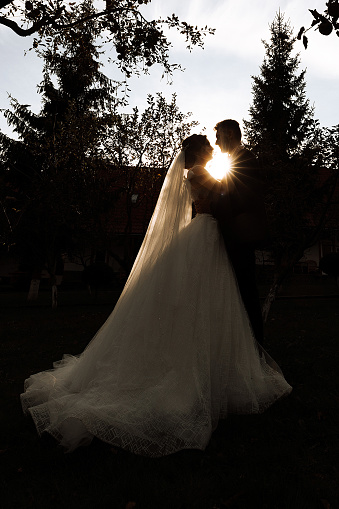 A wedding couple holding hands while standing in a garden against an amazing sunset.