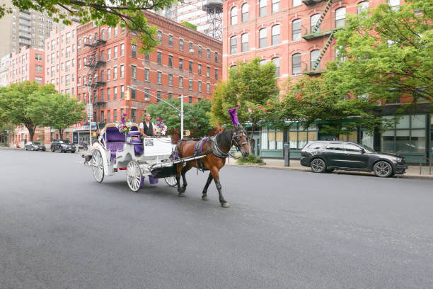 Horses on the streets of Manhattan, New York city. Tourists' attraction. Photographed on 9/4/22