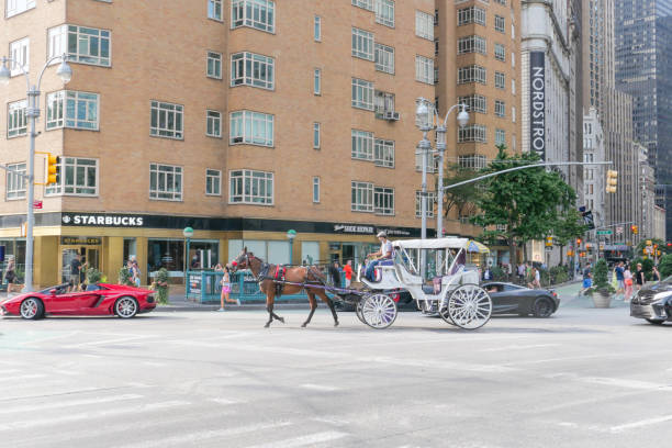 Vienna, Austria - July 23, 2024: Horse drawn carriages in Vienna