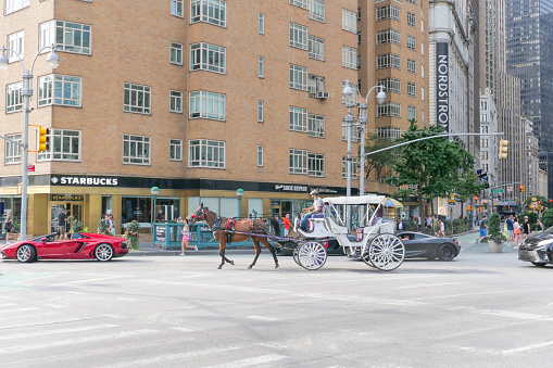 Horses on the streets of Manhattan, New York city. Tourists' attraction. Photographed on 9/4/22