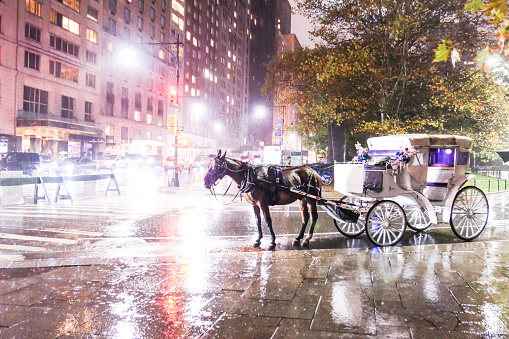 New-York, Manhattan, USA - December 04, 2019: horse carts for tourists on the street among skyscrapers in Manhattan, New York USA