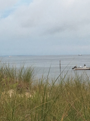 A solo outboard motor boat rests on the bay surrounded by water and tidal grasses and sky.