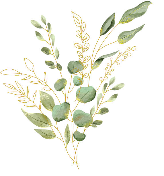 Watercolor Greenery Leaves Bouquet Leas Watercolor Arrangement for Invitation, Card, etc. Green Leaf with Gold Line Leaf fall flower bouquet stock illustrations