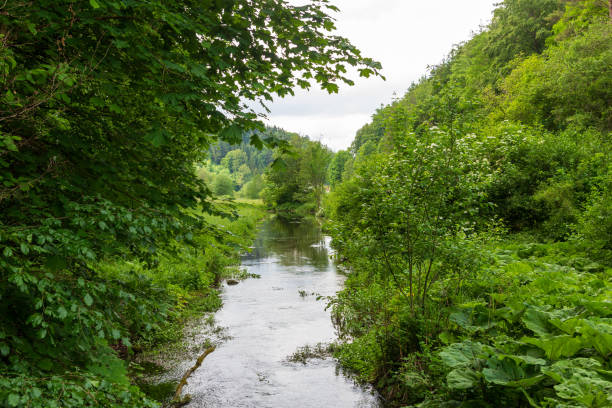 istock River Trubach near Obertrubach (Franconian Switzerland), Bavaria, Germany 2090343826