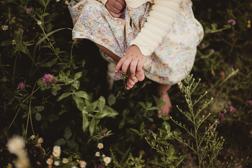 Toddler girl sitting in a field with flowers
