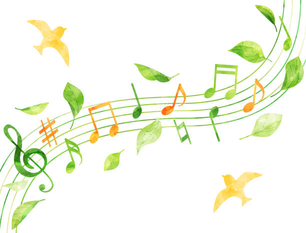 natürliche illustration von vögeln, blättern und musiknoten, die im aquarellstil verarbeitet wurden - foliate pattern audio stock-grafiken, -clipart, -cartoons und -symbole