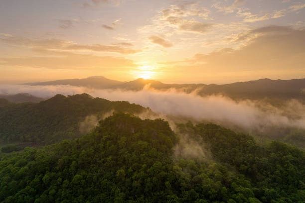 morning landscape, golden light, sunrise, and fog cover the forest. - meteorology rain fog forest foto e immagini stock