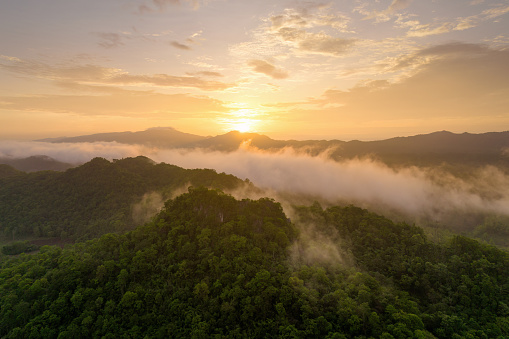 Landscape view of dawn, golden light, sun rise, and mist flowing through the high mountain forest in Mae Moh, Lampang.