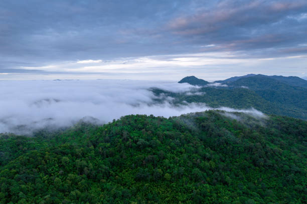 istock High mountain scenery, misted in the morning. 2090541170