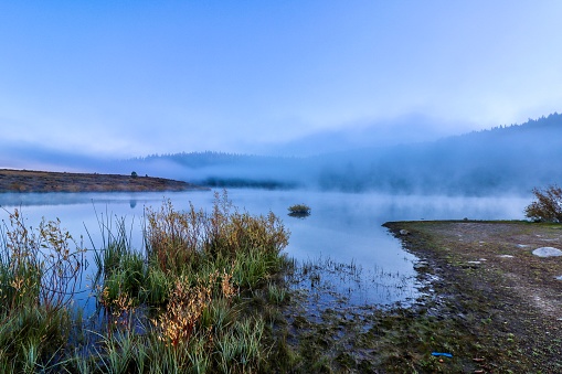 Early Morning Fog - Martis Creek Lake - Nevada County, CA - October