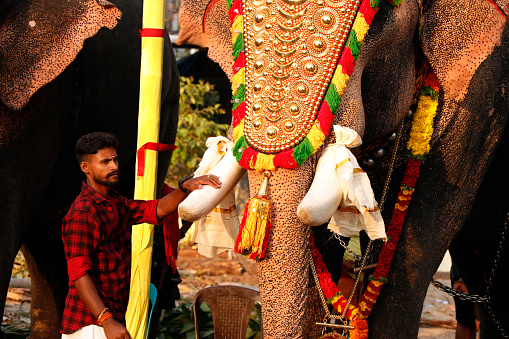 Kochi, Kerala, India -March 27, 2023 man posing at indian thrissur pooram hindu festival celebrating with decorated elephant