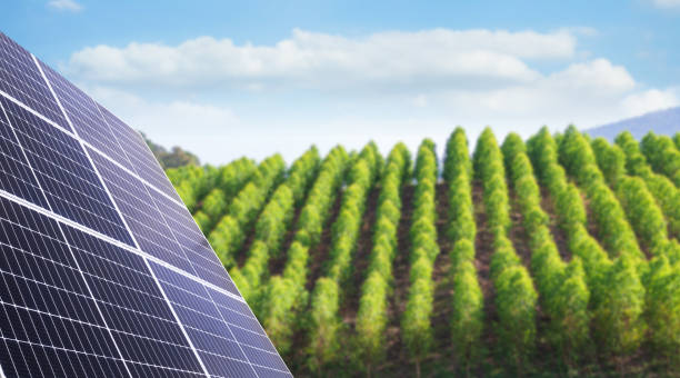 istock Solar Panel Rooftop House Electricity Buiding Roof System Techology Sun Light Power Eco Energy Environment Ecology Cell Plant on Blue Sky, Clean Carbon Electric Renewable Photovoltaic Rooftop Modern. 2090652687