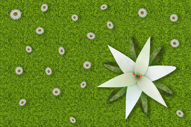 3D illustration. Spring Summer. Flowers, blossom on green meadow texture. Grass field background with colorful flowers