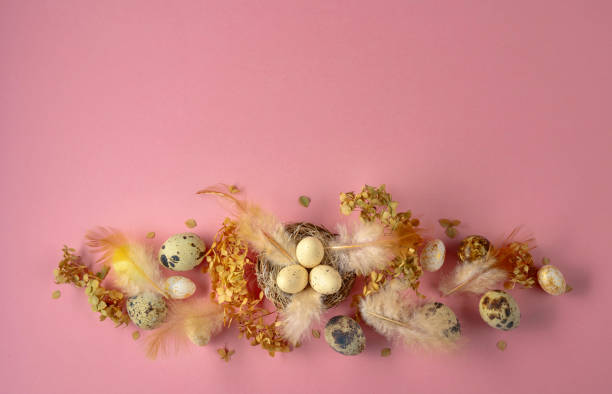 istock Easter composition with quail eggs, feathers, and dried flowers. 2090664561