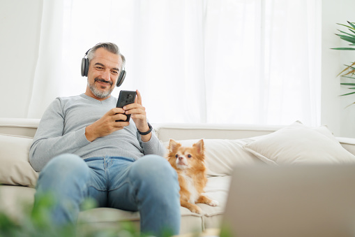 Mature man with headphones using smartphone on a sofa, accompanied by a chihuahua dog in a sunny living room
