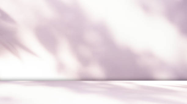 istock Background Shadow Studio Nude Color Beige Plant Overlay Podium 3d White Light Design Table Product Room Empty Backdrop Bg Summer Minimal Place Kitchen Abstract Leaf Pattern purple Texture Space. 2090696703