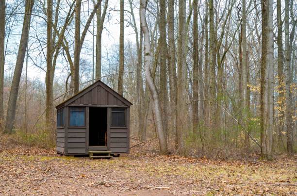 Wooden campground cabin in the woods with tall trees. Front door is open. Hunting cabin with rustic windows. Abandoned. Autumn leaves on forest floor. No people, copy space.