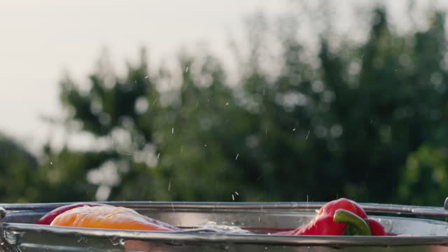Ripe tomatoes fall in a bucket of water, splashes fly high to the sides. Slow motion video