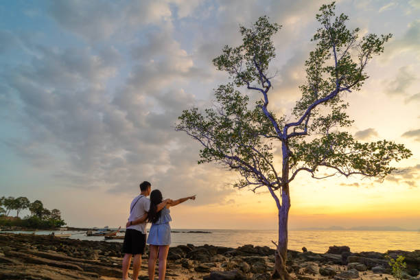 um casal parado em uma praia olhando para uma árvore. o céu está nublado e o sol está se pondo - city of sunrise sunrise tree sky - fotografias e filmes do acervo