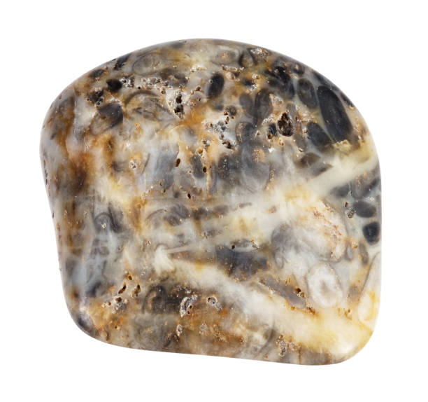 istock natural tumbled oncolite mineral cutout 2090762221