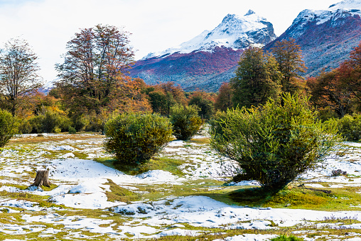 Behold the majestic mountain peaks of Mount Cook National Park in New Zealand. This stunning image captures the awe-inspiring beauty of nature's grandeur.