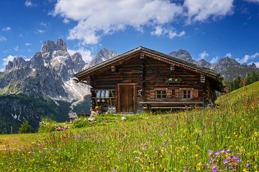 European Alps, Landscape - Scenery, Scenics - Nature, Agriculture, Austria - Sulzenalm