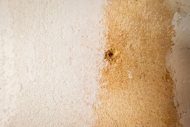 istock rough old concrete wall texture closeup during home renovation 2090813811