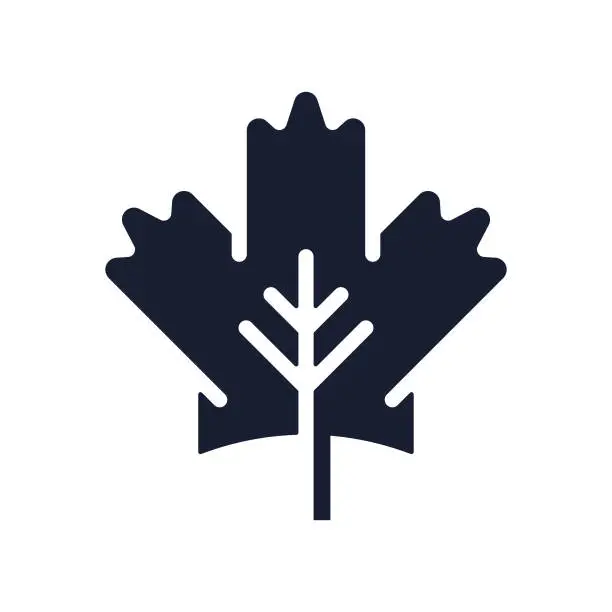 Vector illustration of Solid Vector Icon for Maple Leaf