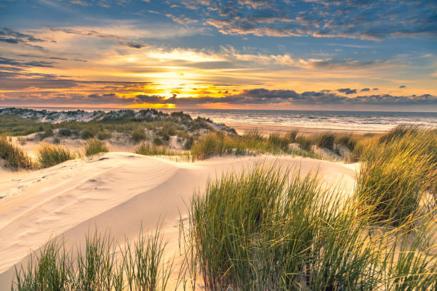 istock View from dune top over North Sea 2090840615
