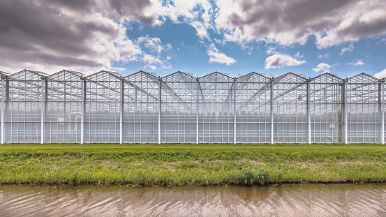 Greenhouse industrial exterior in the Netherlands. Food farming industry with giant buildings.