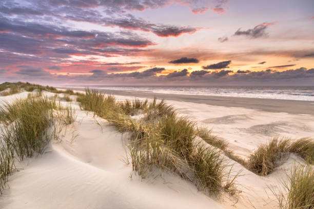 istock View from dune top over North Sea 2090870579