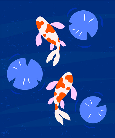 Koi fish minimalistic illustration