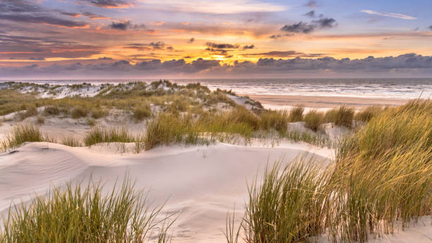 istock View from dune top over North Sea 2090872134