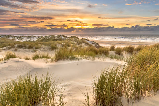 istock View from dune top over North Sea 2090878365
