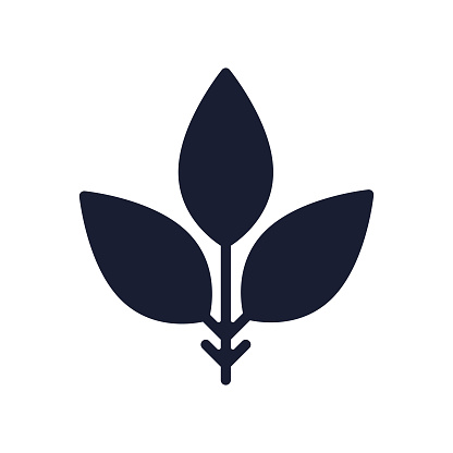 Solid Vector Icon for Herbal Growth