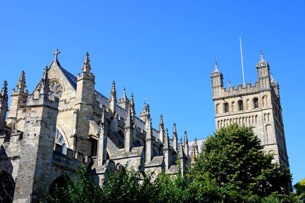 View of the Cathedral, Exeter, UK. View of the top of the Cathedral (Cathedral Church of Saint Peter in Essex), Exeter, Devon, UK, Europe. norman uk tree sunlight stock pictures, royalty-free photos & images