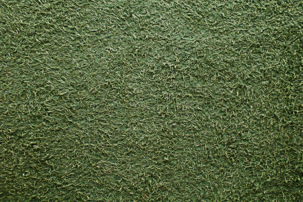 Close-up of small green leaves abstract background.