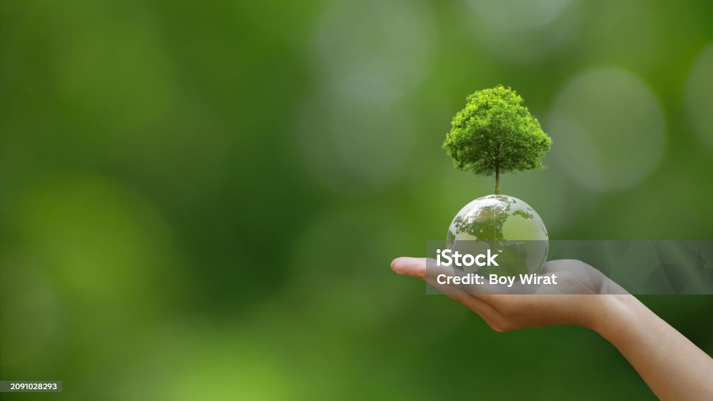 ESG, CO2 및 넷 제로를 위한 나무가 있는 크리스탈 글로브 볼을 들고 있는 인간의 손. 세계 지속 가능한 환경 개념. 지구를 구하고, 세계 환경의 날, 세계 지구의 날, 기후 변화. - 로열티 프리 환경 보전 스톡 사진 ESG, CO2 및 넷 제로를 위한 나무가 있는 크리스탈 글로브 볼을 들고 있는 인간의 손. 세계 지속 가능한 환경 개념. 지구를 구하고, 세계 환경의 날, 세계 지구의 날, 기후 변화. - 로열티 프리 환경 보전 스톡 사진