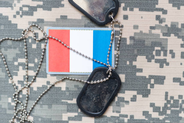 istock Amy camouflage uniform with flag on it, France 2091031927